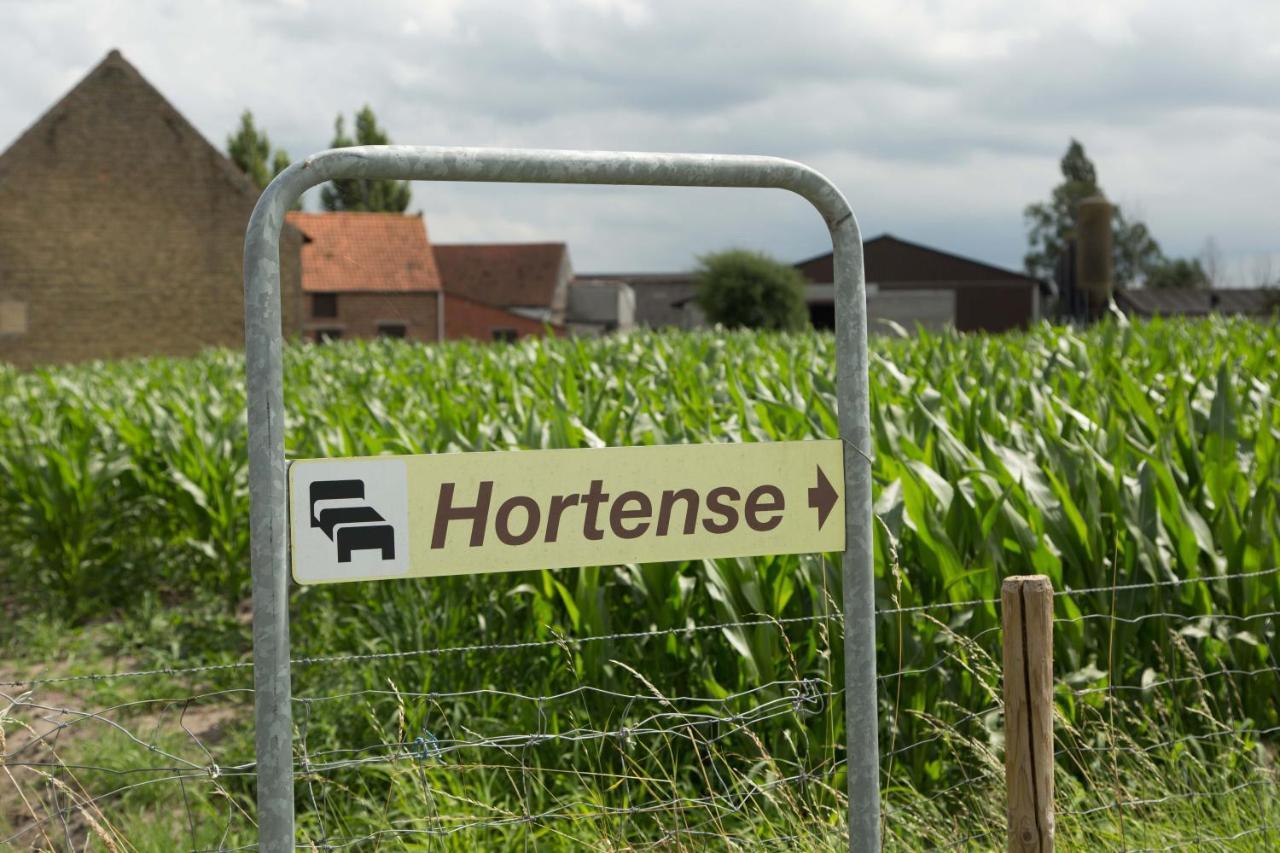 B&B Hortense Koekelare Exterior photo